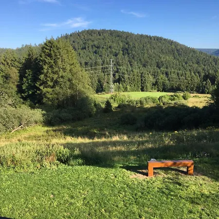 Le Vosgien Bain Nordique Kota Grill Chalet Gerardmer