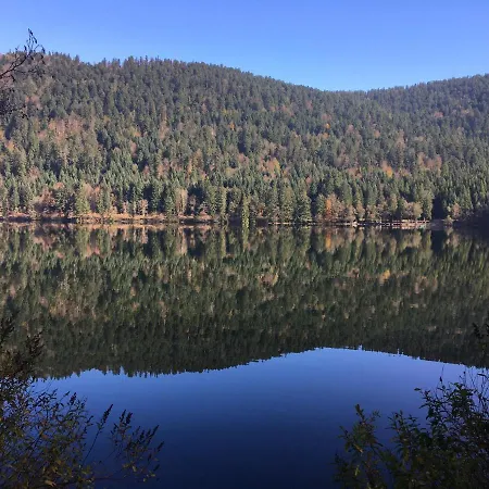Le Vosgien Bain Nordique Kota Grill Chalet Gerardmer
