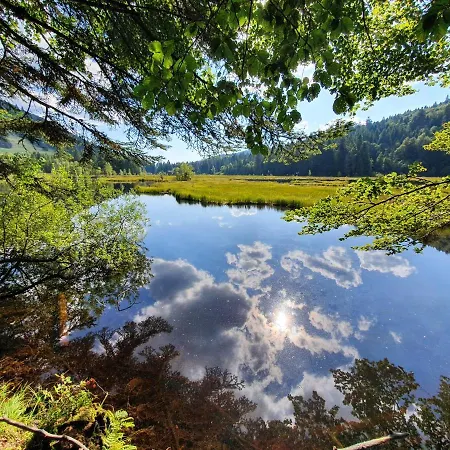 Le Vosgien Bain Nordique Kota Grill *