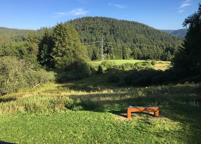 Le Vosgien Bain Nordique Kota Grill Domek alpejski Gérardmer