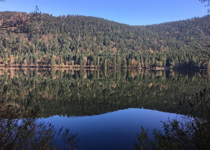 Le Vosgien Bain Nordique Kota Grill Domek alpejski Gérardmer