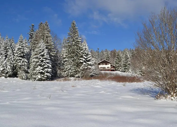 Chalet Le Vosgien Bain Nordique Kota Grill Gérardmer