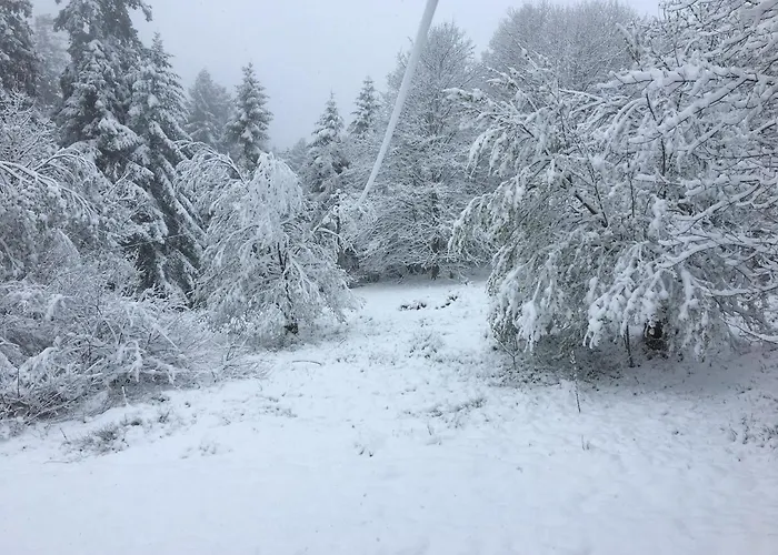 Le Vosgien Bain Nordique Kota Grill Domek alpejski