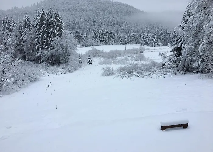 Le Vosgien Bain Nordique Kota Grill *