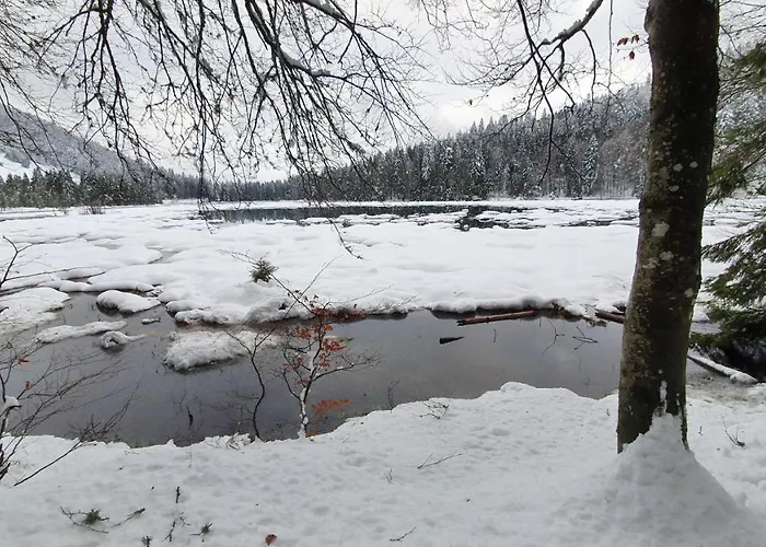 Le Vosgien Bain Nordique Kota Grill Domek alpejski