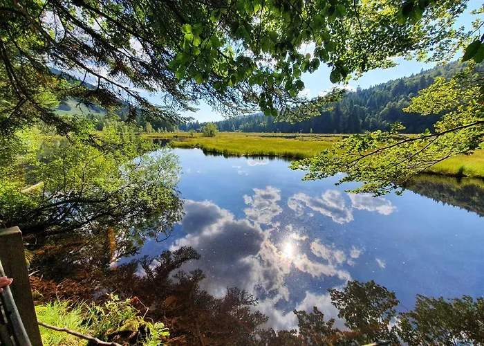 Le Vosgien Bain Nordique Kota Grill *