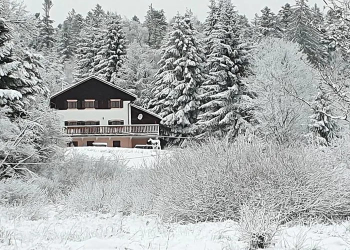 Chalet Le Vosgien Bain Nordique Kota Grill