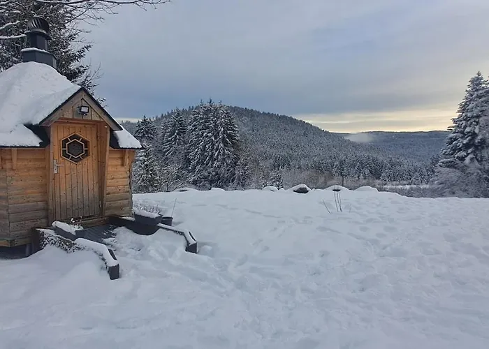 Le Vosgien Bain Nordique Kota Grill Domek alpejski Gérardmer