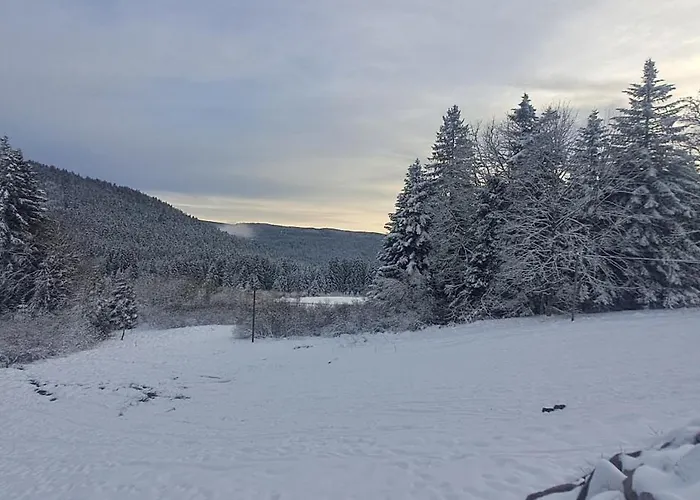 Alpstuga Le Vosgien Bain Nordique Kota Grill Gérardmer
